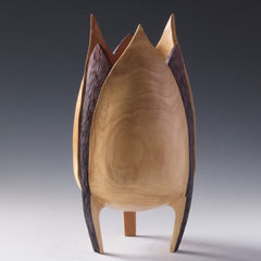 Bushman, David Title: Awakening