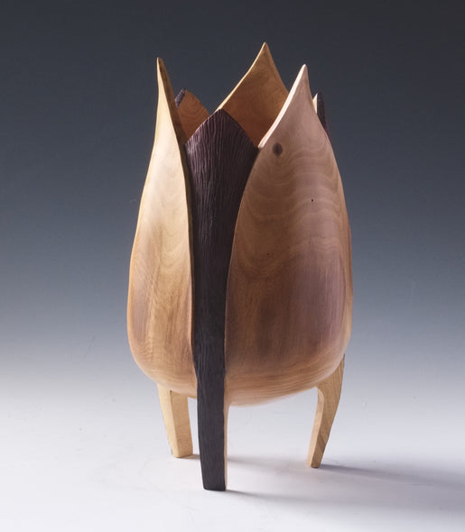 Bushman, David Title: Awakening