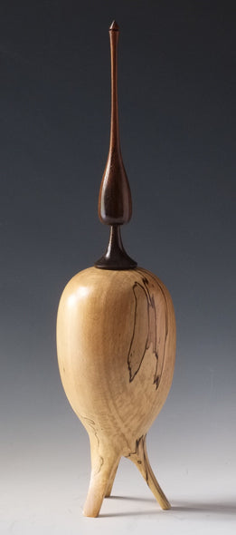 Bushman, David Title: The Rocket