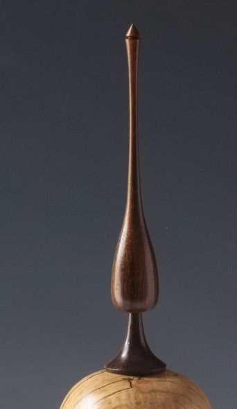 Bushman, David Title: The Rocket