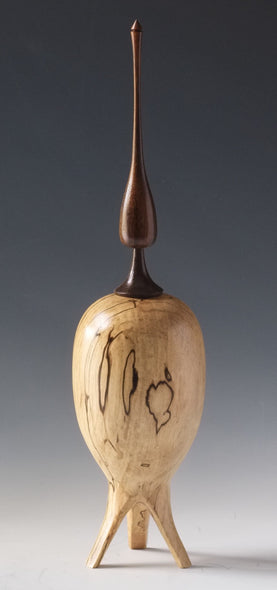 Bushman, David Title: The Rocket