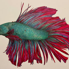 Charles Bowers Title: Beta Fish