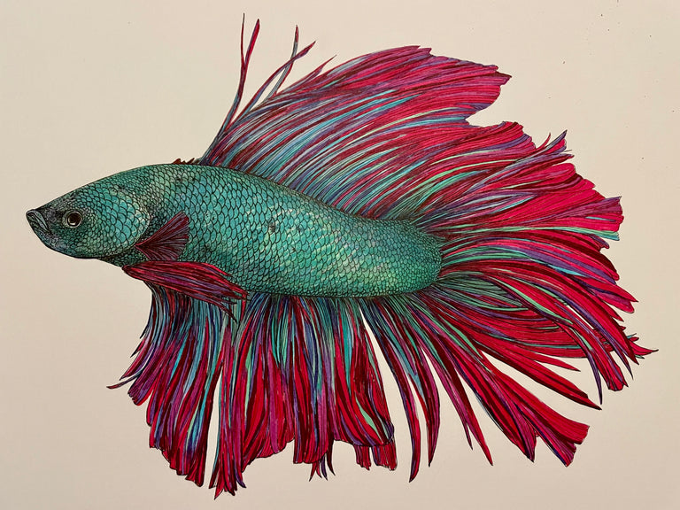 Charles Bowers Title: Beta Fish