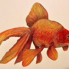 Charles Bowers Title: Goldfish