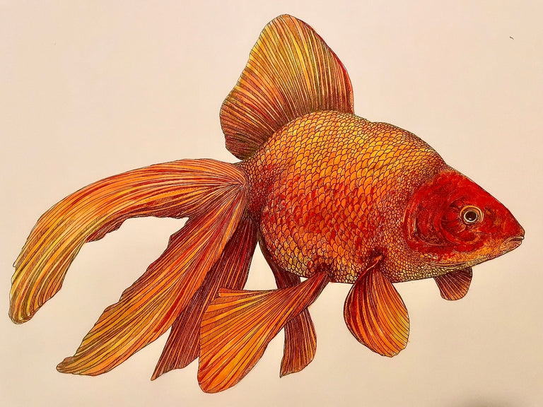 Charles Bowers Title: Goldfish