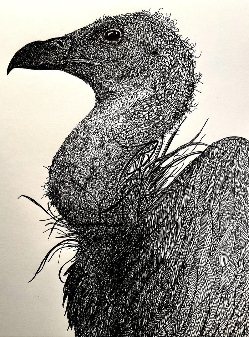 Charles Bowers Title: Buzzard | Crossroads Art Center