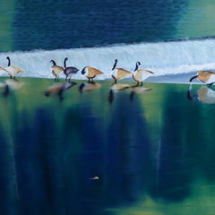 Cheatham, David Title: Gaggle at the Z Dam