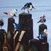 Cheatham, David Title: The Party Pier