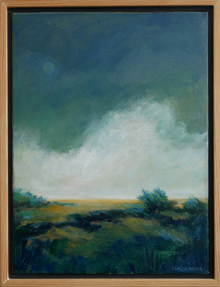 Christaphora Robeers Title: Storm Coming