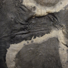 Chuck Scalin  Titled: Untitled #13