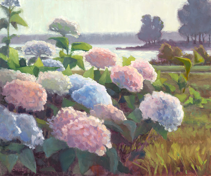 Coakley Brown Title: Hydrangeas