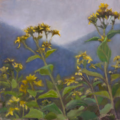 Coakley Brown Title: Scuse Me While I Kiss the Sky