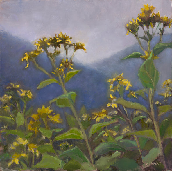 Coakley Brown Title: Scuse Me While I Kiss the Sky