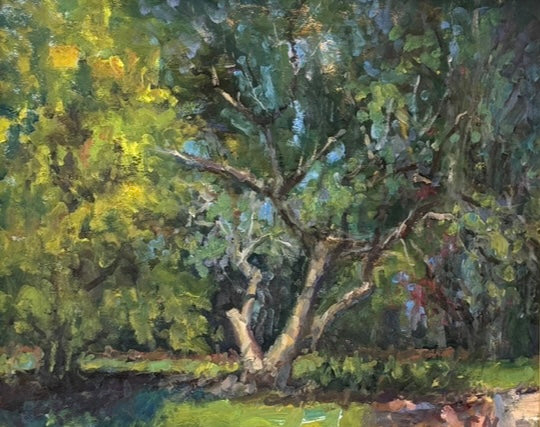 Curney Nuffer Title: Late Bloomer