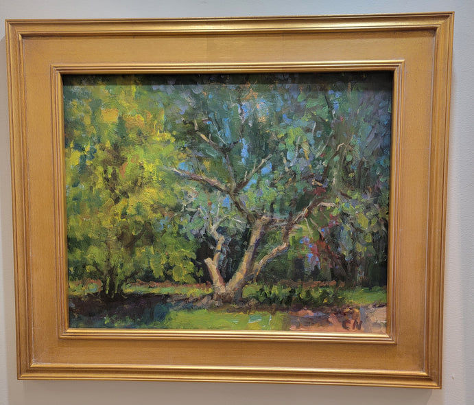 Curney Nuffer Title: Late Bloomer