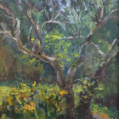 Nuffer, Curney Title: Tree in Back Light