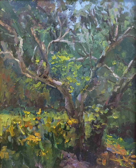 Nuffer, Curney Title: Tree in Back Light