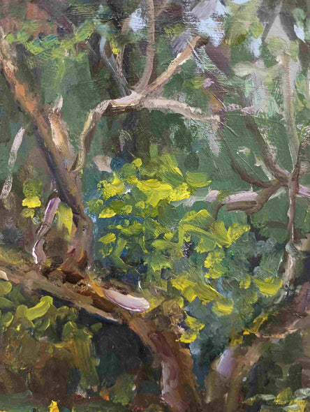 Nuffer, Curney Title: Tree in Back Light