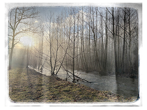 Cyane Lowden Title: High Water