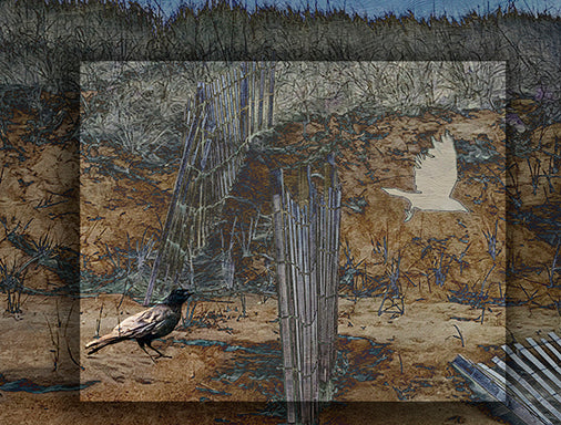 Cyane Lowden Title: Two Crows