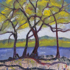 D. Milan Brudvig Title: Pony Pasture