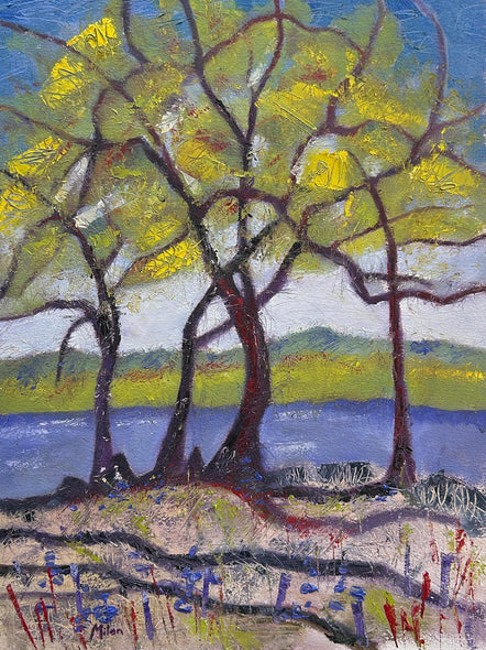 D. Milan Brudvig Title: Pony Pasture