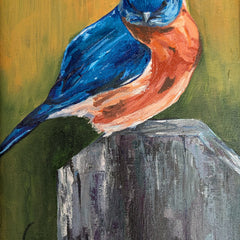 Vassar, Darcy title: Songs of Blue