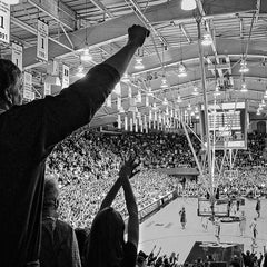 David Goss Title: Up