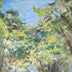 Dessaint, Linda  title: Where Light Plays