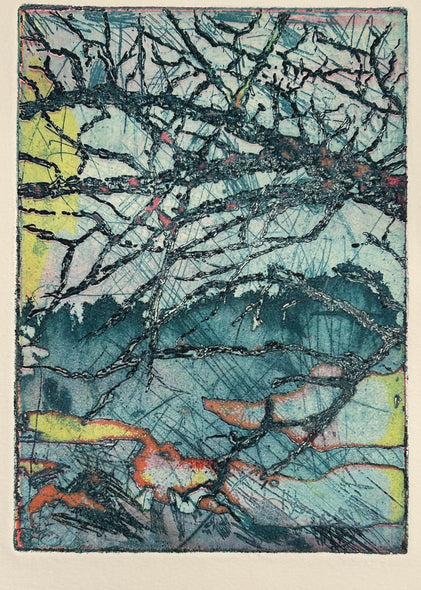 Diane Wilkin Title: Atmospheric Study #6