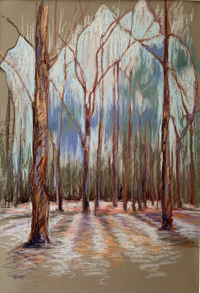 Diane Wilkin Title: Cathedral in the Woods