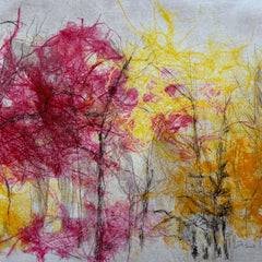 Diane Wilkin Title: Living Color