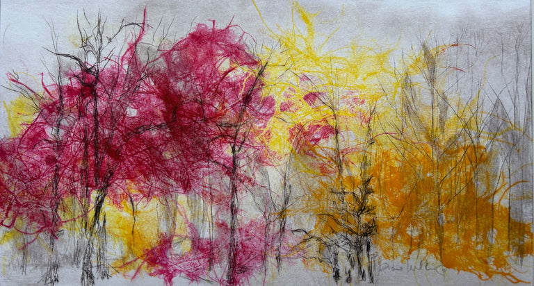 Diane Wilkin Title: Living Color