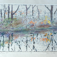 Diane Wilkin Title: Reflections 7 - soft morning