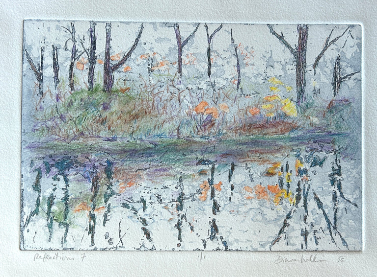 Diane Wilkin Title: Reflections 7 - soft morning