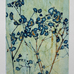 Diane Wilkin Title: Summer 1 of 7