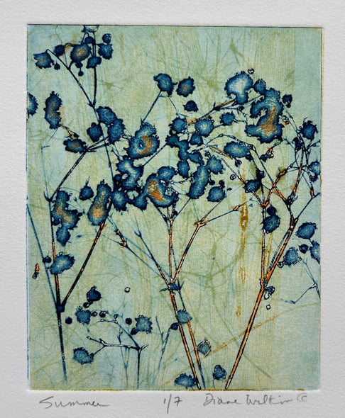 Diane Wilkin Title: Summer 1 of 7