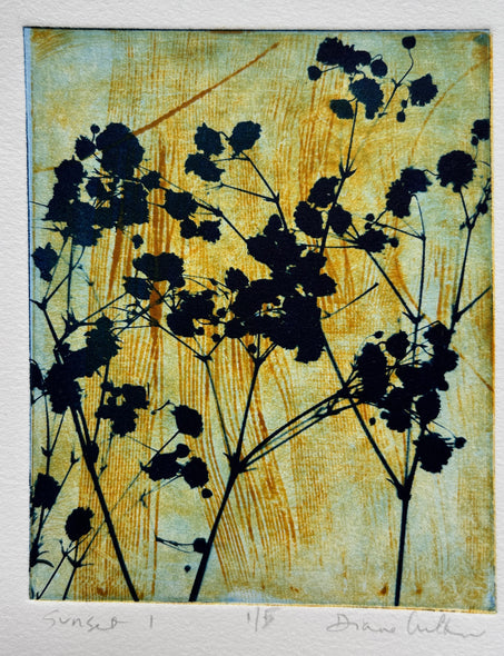Diane Wilkin Title: Sunset 1 of 5
