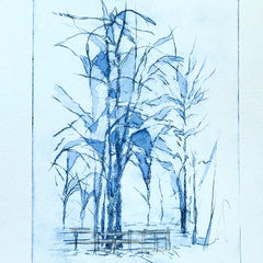 Diane Wilkin Title: The Cold Sky Shattered