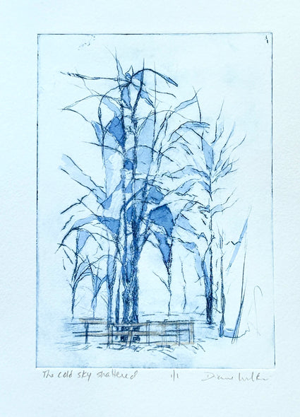 Diane Wilkin Title: The Cold Sky Shattered