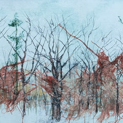 Diane Wilkin Title: Transitioning