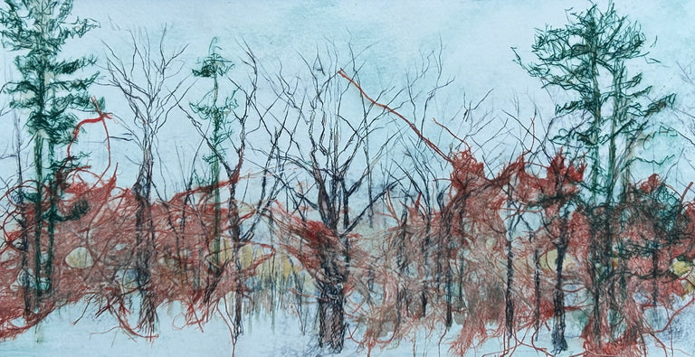 Diane Wilkin Title: Transitioning