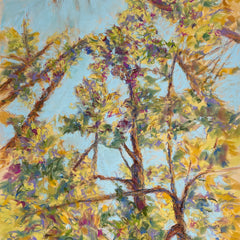 Diane Wilkin Title: Upward Through the Canopy