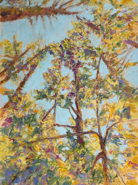 Diane Wilkin Title: Upward Through the Canopy