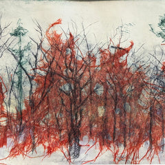 Diane Wilkin Title: Woods Transition