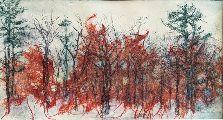 Diane Wilkin Title: Woods Transition