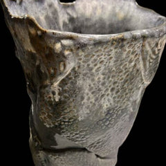 Dianna Waters Title: Earth Scar