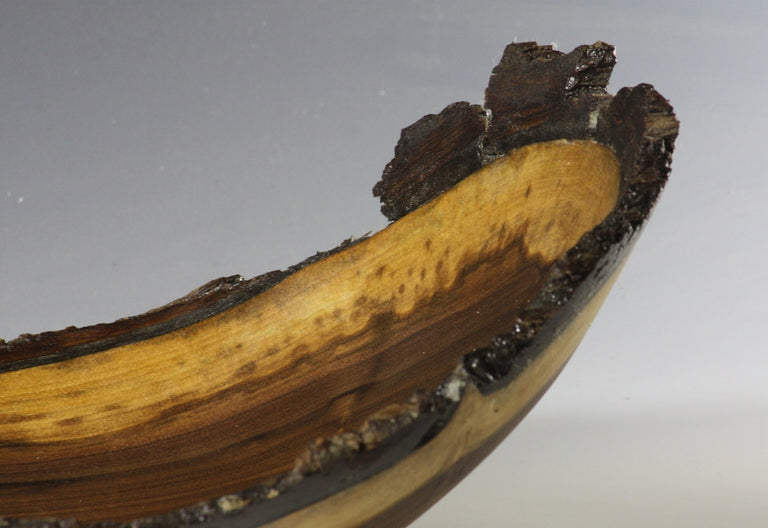 Dill, Barbara Title: Underneath the Bark