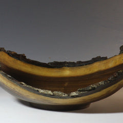 Dill, Barbara Title: Underneath the Bark