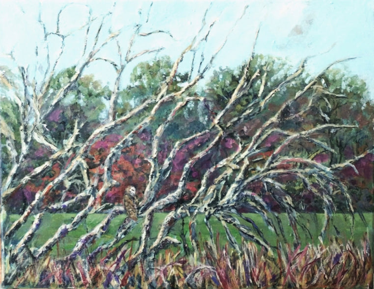 Duda, Rosemary title: Barnyard Owl on the Watch, Patrick Henry's Scotchtown